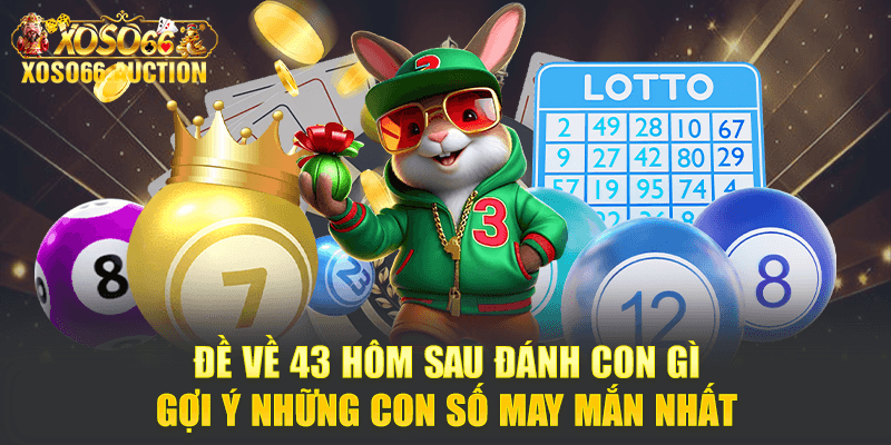 Đề về 43 hôm sau đánh con gì - Gợi ý những con số may mắn nhất 