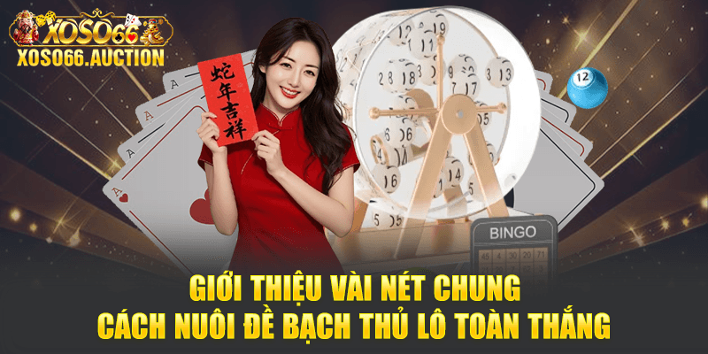 Giới thiệu vài nét chung cách nuôi đề bạch thủ lô toàn thắng