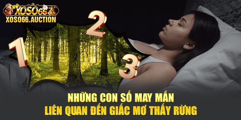 Những con số may mắn liên quan đến giấc mơ thấy rừng